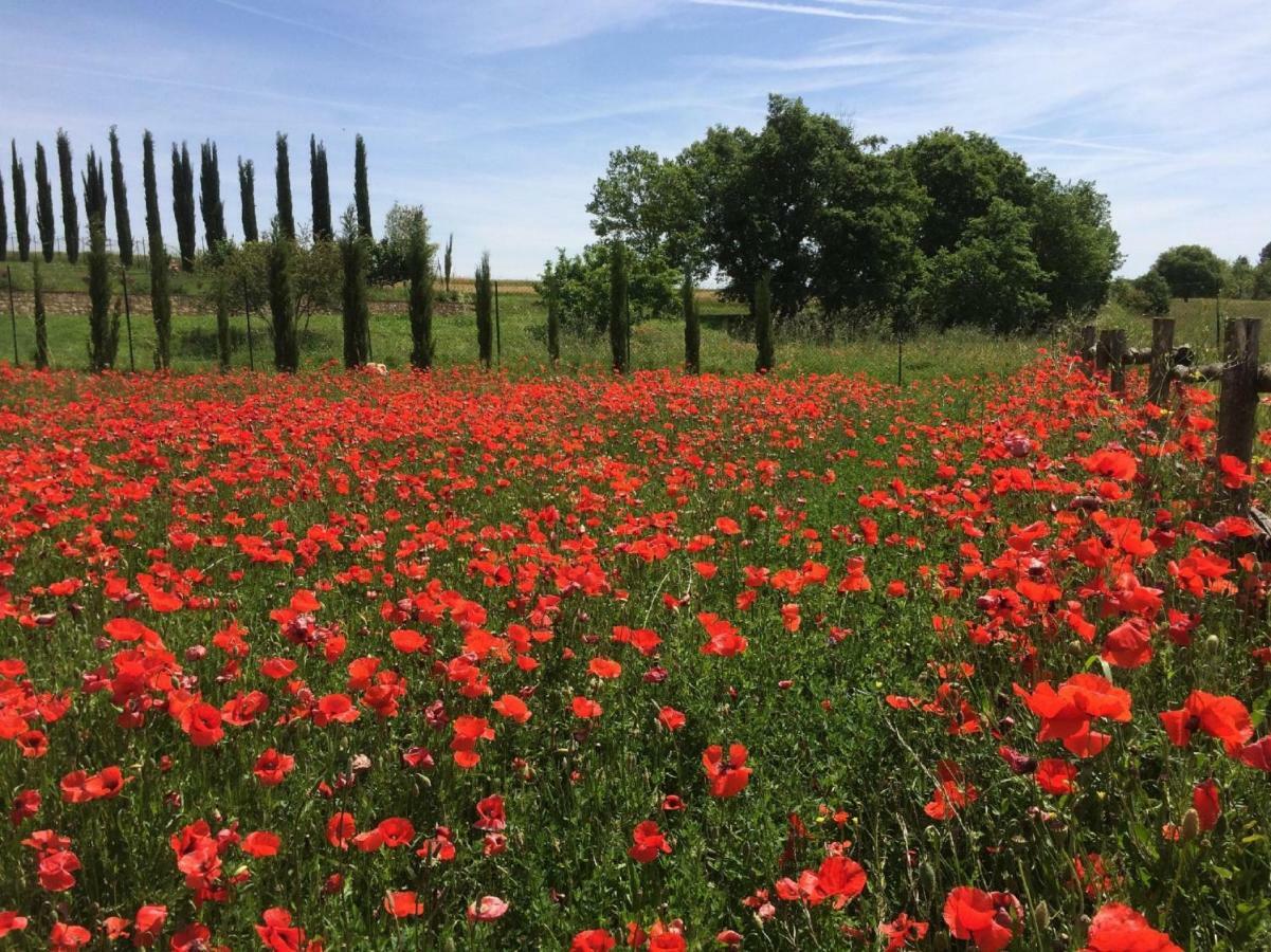 La Casa Del Fattore Monteriggioni Eksteriør bilde