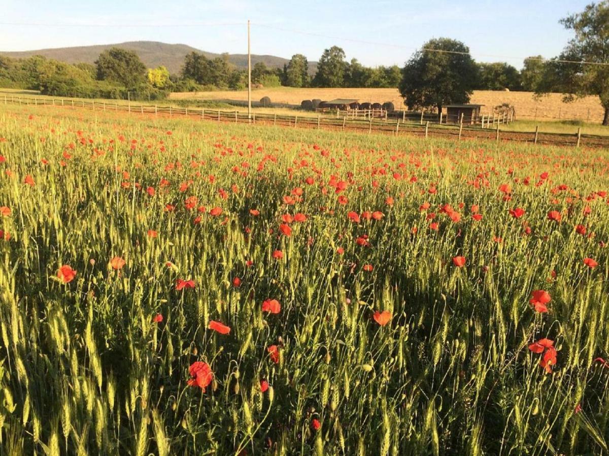 La Casa Del Fattore Leilighet Monteriggioni Eksteriør bilde